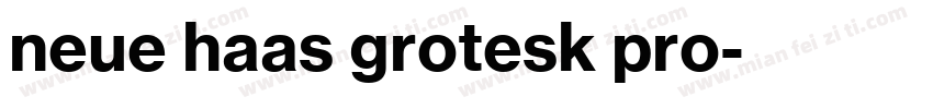 neue haas grotesk pro字体转换